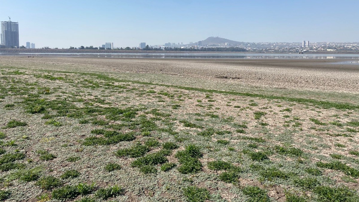 Sequía excepcional mete en el mapa nacional a nueve municipios de Guanajuato