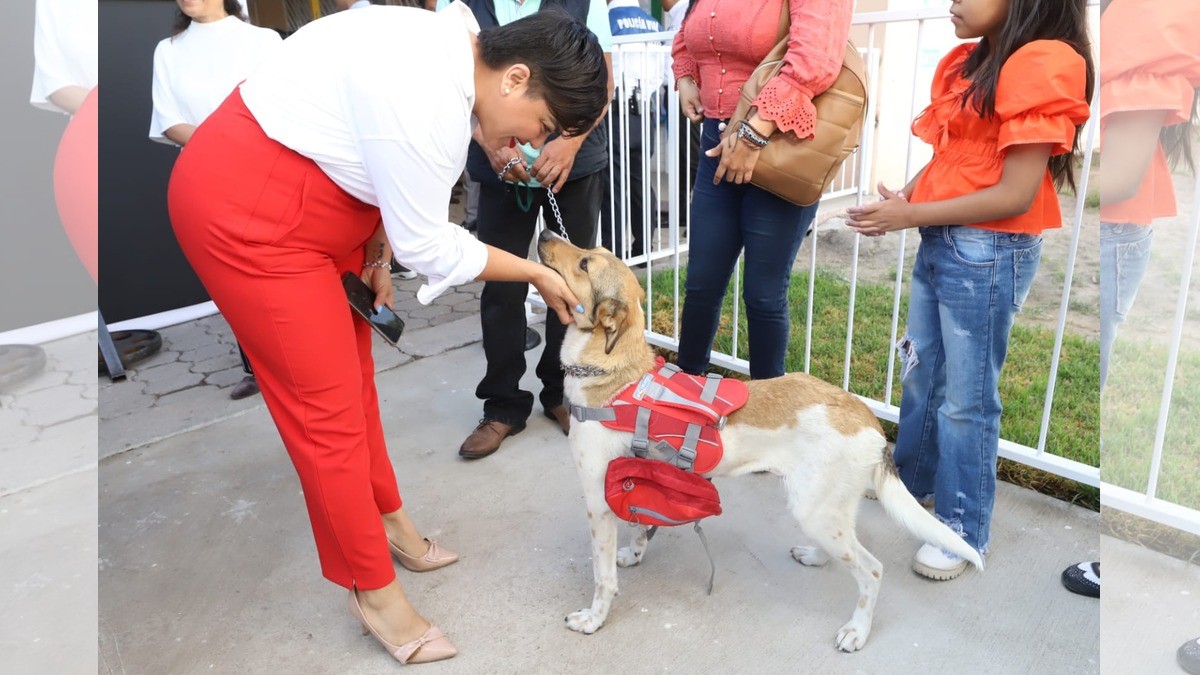 Reconocen labor de rescatistas de ‘lomitos’ en León