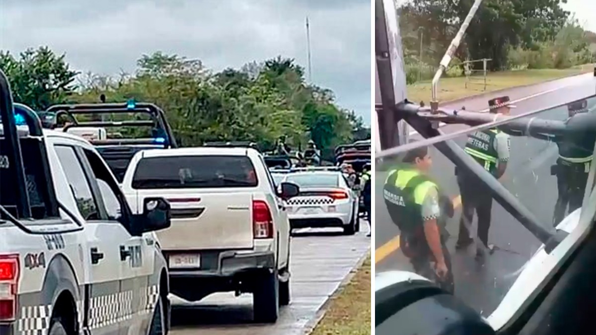 VIDEO Capta trailero balacera entre la Guardia Nacional y sicarios ¡frente a su camión!