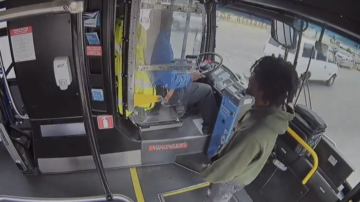 VIDEO Pasajero golpea a chofer de transporte y causa choque contra maderería