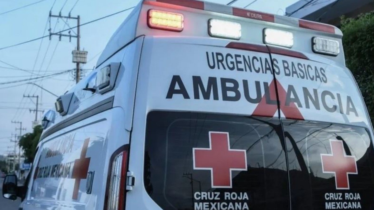 Estudiante pierde la vida tras peligroso juego con compañeros; esto fue lo que pasó