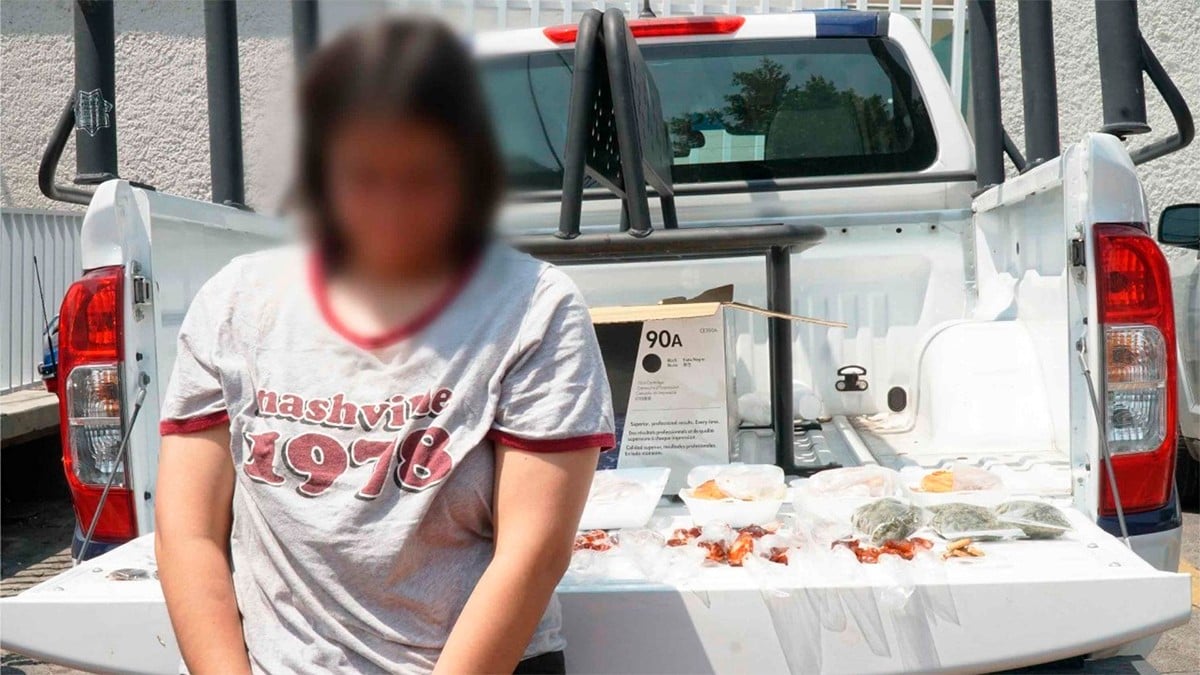 Mujer vendía brownies ‘espaciales‘ afuera de la IPN, fue detenida tras una denuncia