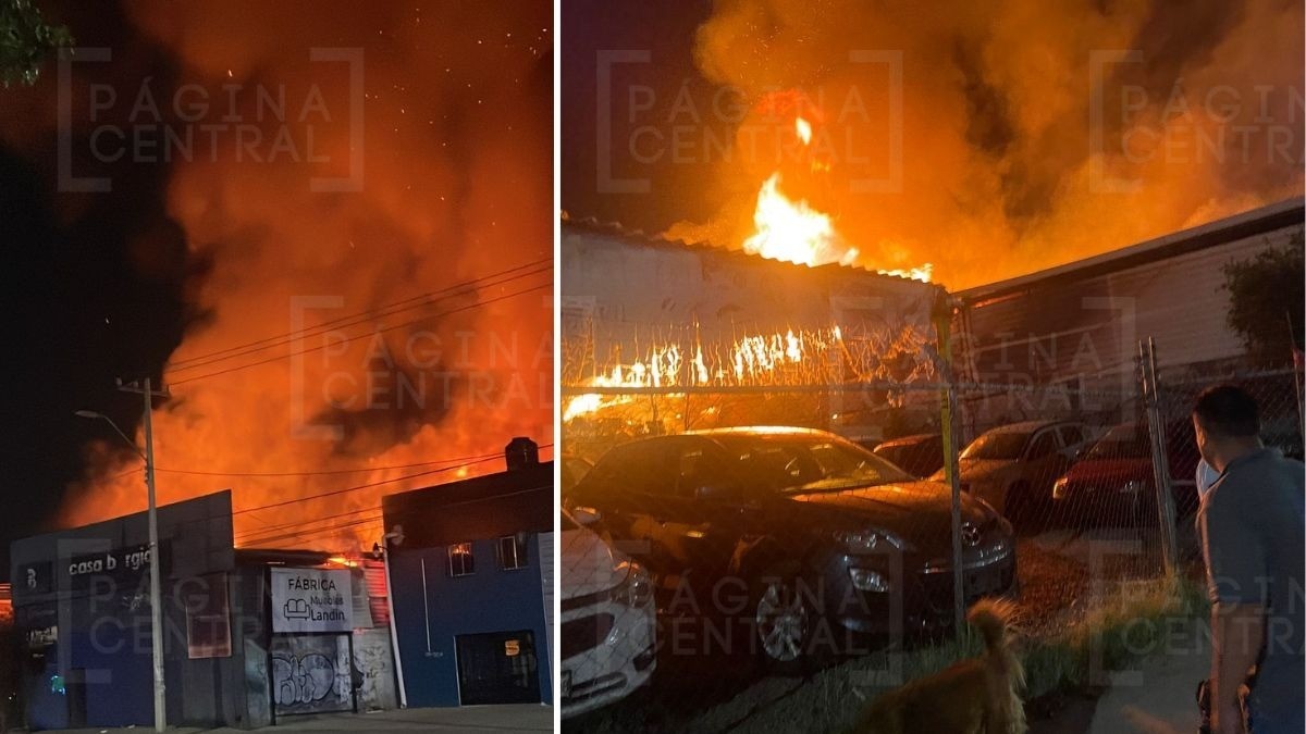 ¡Arde mueblería Casa Borgia en Las Torres! “atrás viven unos vagos”