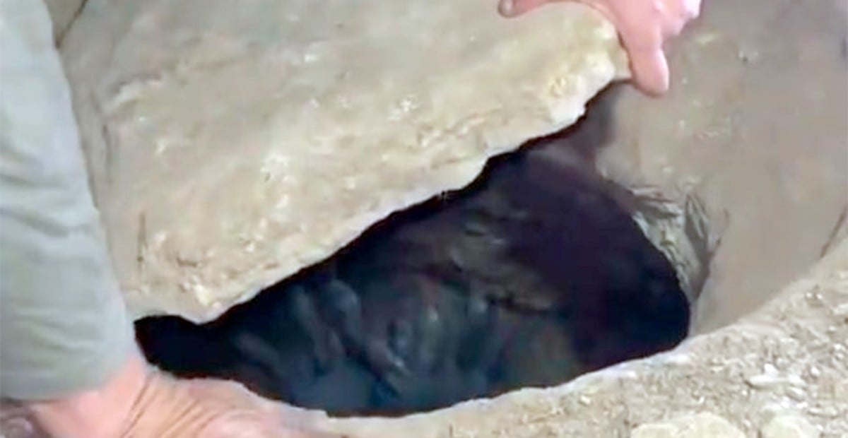 VIDEO ¿Extraña criatura? Hombres encuentran hoyo en una caverna y ¡algo quiere salir de ahí!