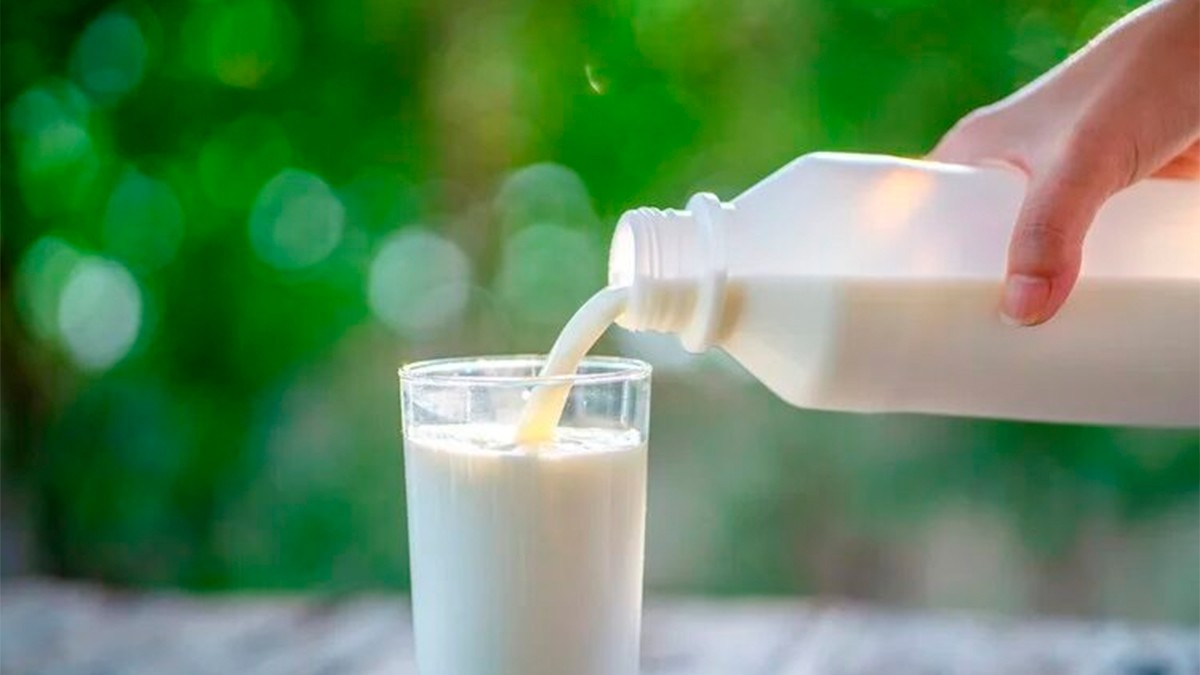 ¡Adiós inflamación y gases! Estas son las mejores leches deslactosadas, según Profeco