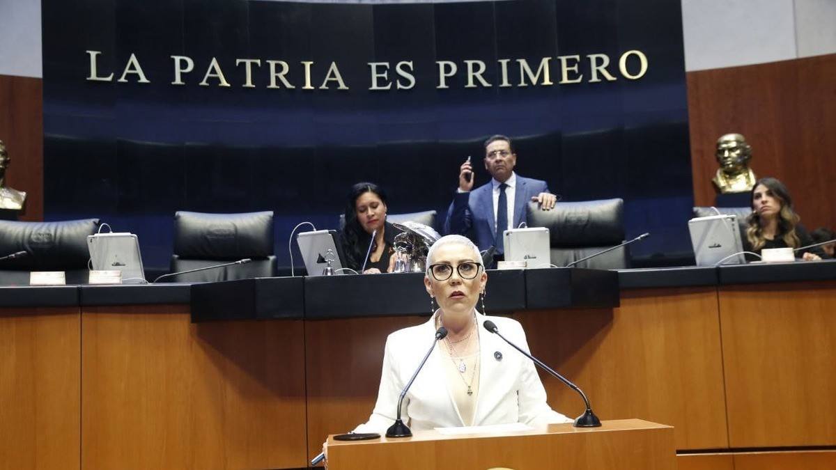 ¿Qué es, qué hace y cómo se elige un senador?, aquí te lo digo