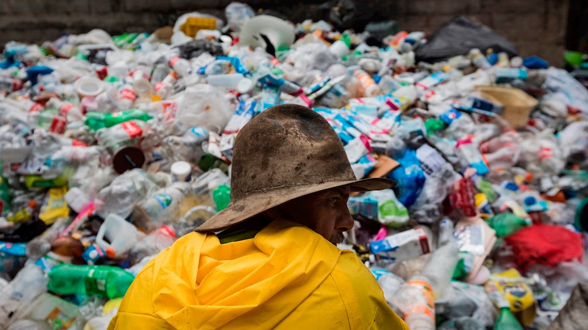 Crean el ‘plástico vivo’, podría ser una opción para evitar la contaminación