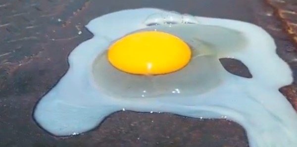 VIDEO Veracruz sufre de altas temperaturas ¡pueden cocinar un huevo en el pavimento!