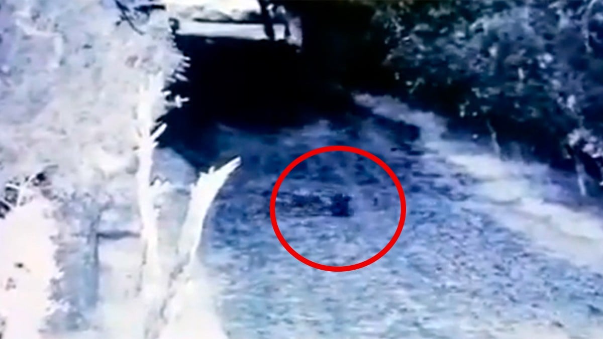 VIDEO Captan a presunto duende caminando por una finca de Monterrey