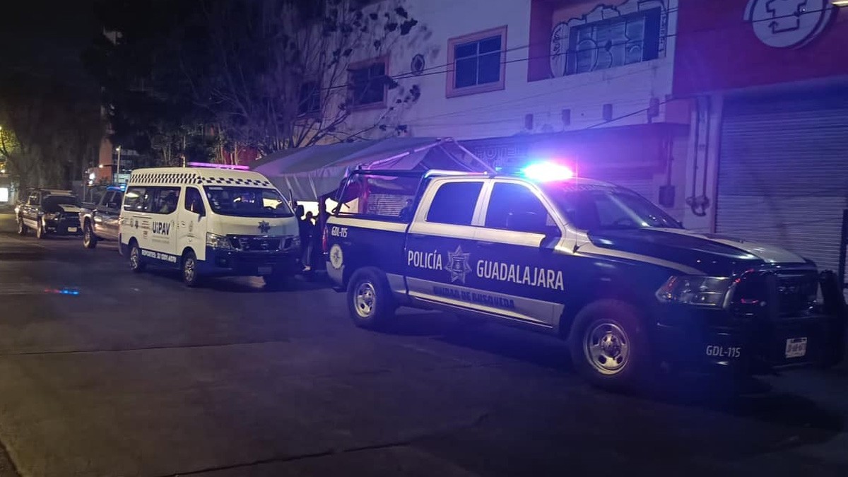 Abuelita halla muerta a su nieta a 4 cuadras de su casa; perritos de la joven la guiaron