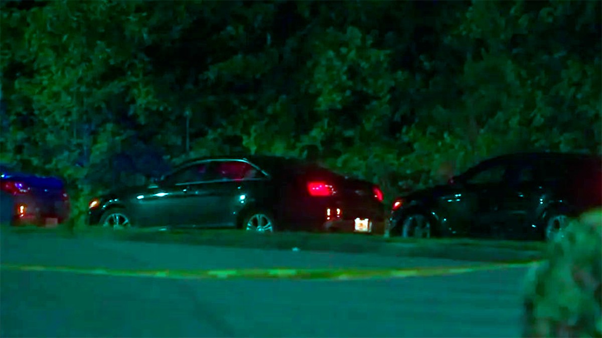 Encuentran muertos a tres niños y a un adulto en un auto estacionado en un parque