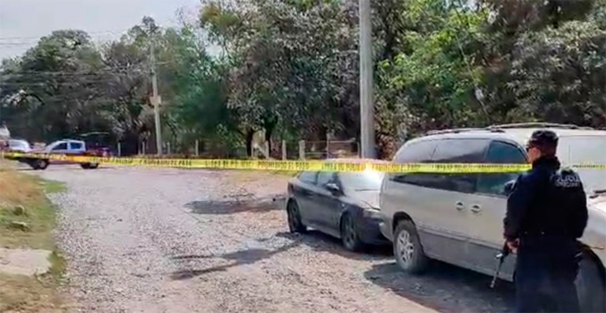 Sorprenden a un perro paseando con ¡un cráneo humano en el hocico!
