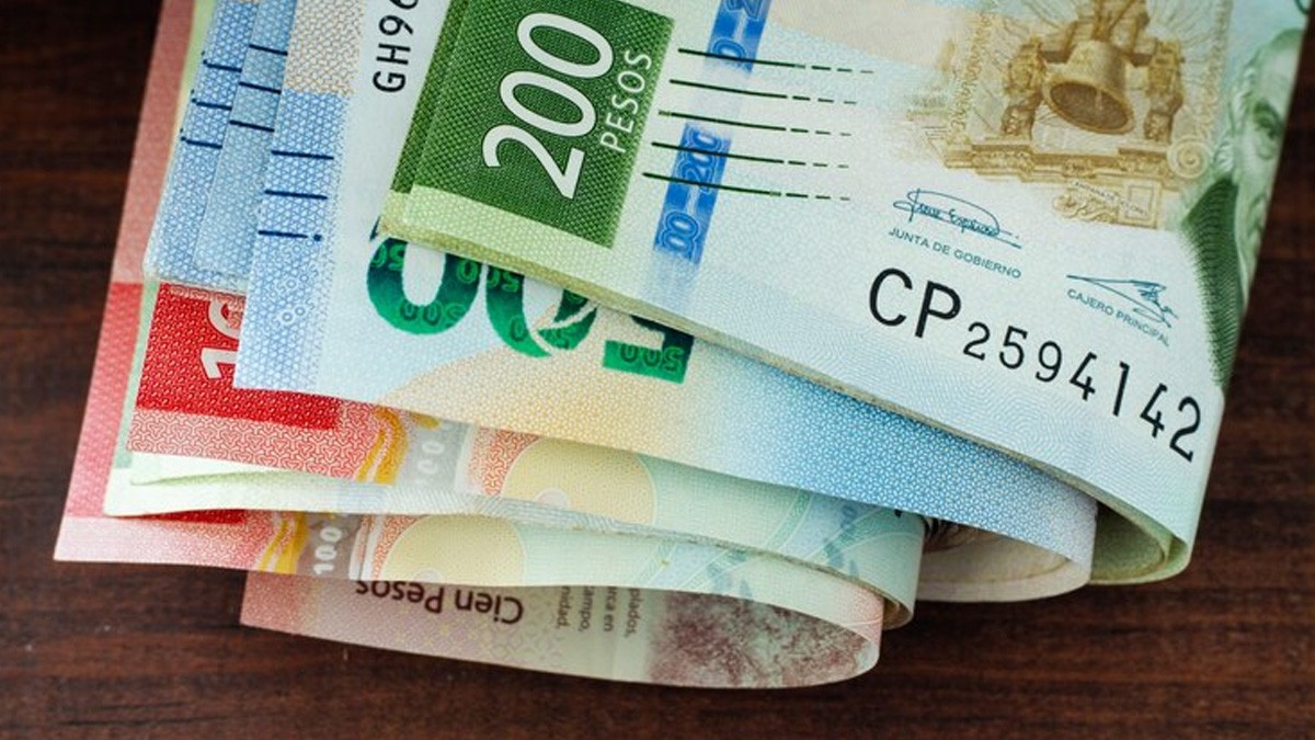 Caos en último día de pago del refrendo; se cae el sistema en línea y puntos físicos