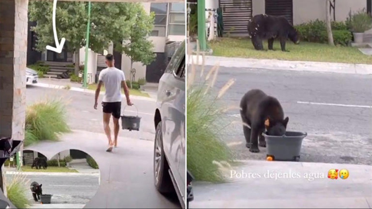 VIDEO Este futbolista sirvió agua a un par de osos en plena ola de calor en Monterrey