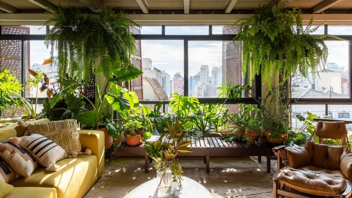 ¡Dile adiós al aire acondicionado y ventila tu hogar de manera inteligente!