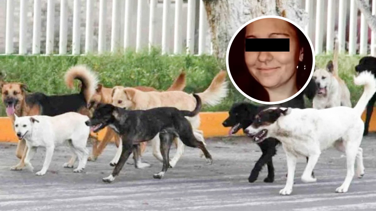 Mamá muere al ser atacada brutalmente por jauría cuando intentaba salvar a sus hijos