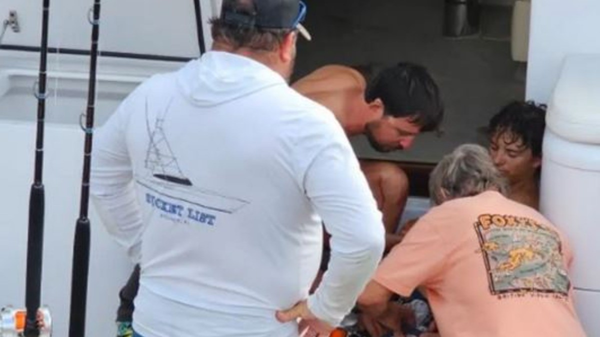 Captan cuando joven cae al agua llena de tiburones y esto ocurrió