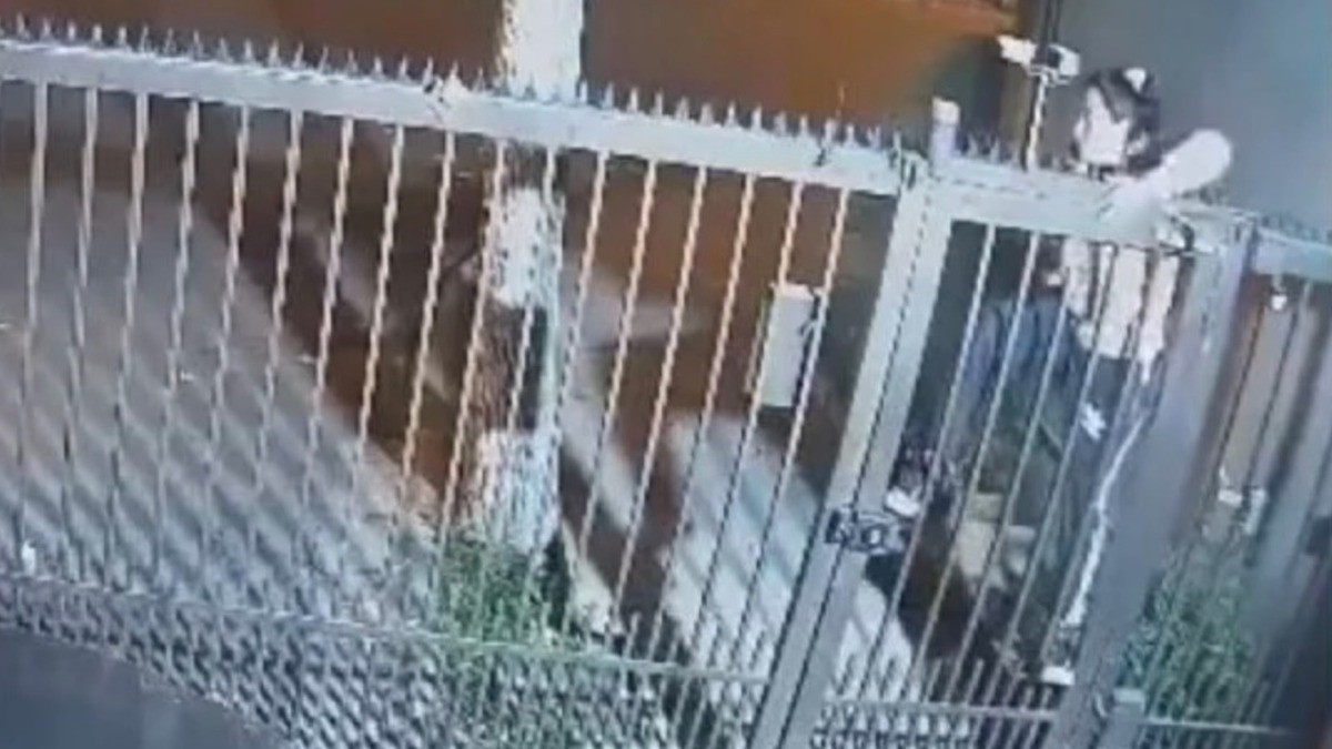 VIDEO Graban a ladrona cuando pierde los pantalones por trepar portón para robar una casa