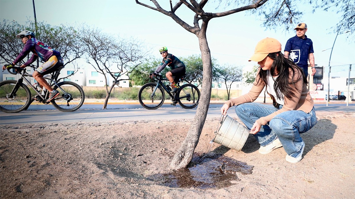 Plantan 27 mil árboles en León, buscan 10 mil más