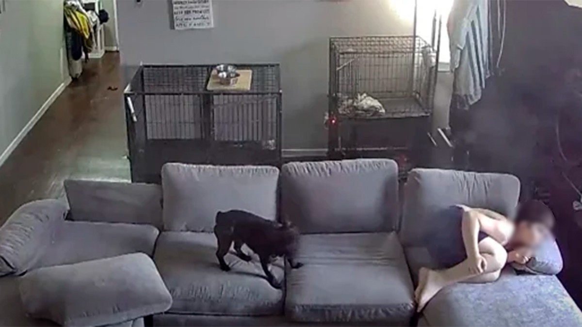 VIDEO Un niño escapa milagrosamente de las balas que impactaron en su casa tras un tiroteo