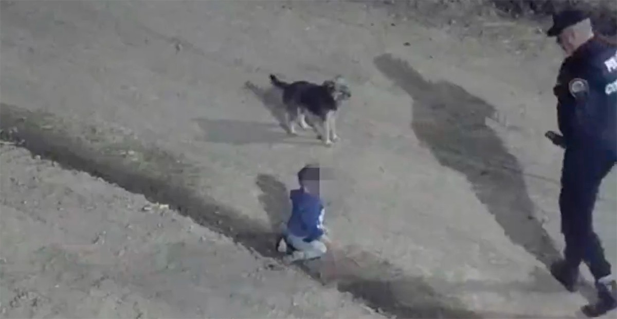 VIDEO Policías hallan a bebé gateando en la calle en la madrugada, iba con un perrito