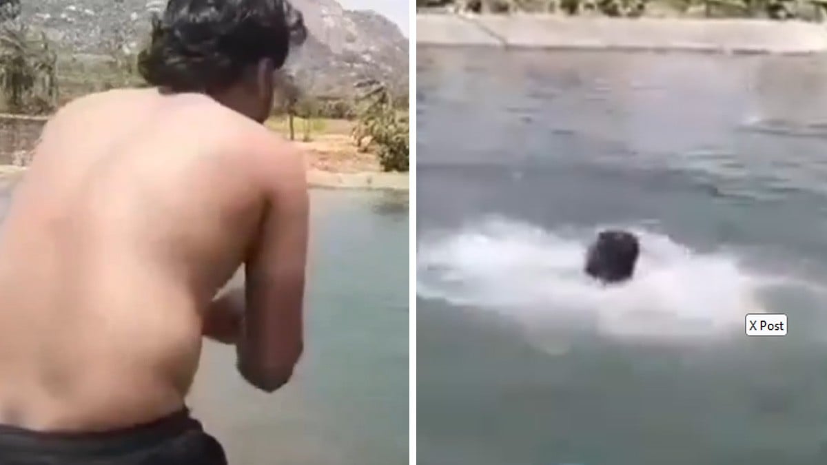 VIDEO Hombre se lanza a un estanque para aprender a nadar, pero muere ahogado