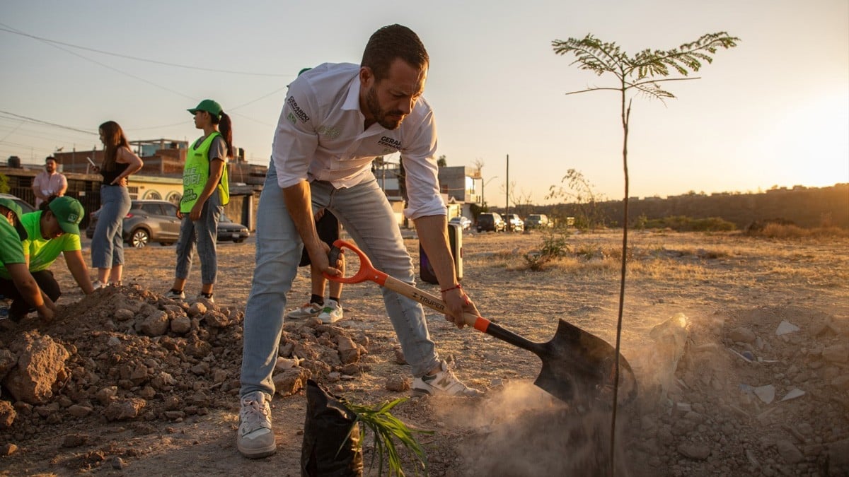 Candidatos del Partido Verde plantan árboles en la colonia León II