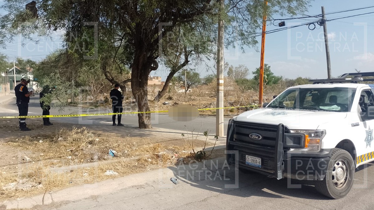 Hallan a mujer tirada en un charco de sangre; le dispararon en la cabeza