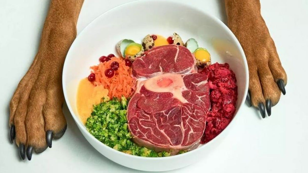 ¿Alimentación natural para tus mascotas? ¿Pero qué tan buena es?