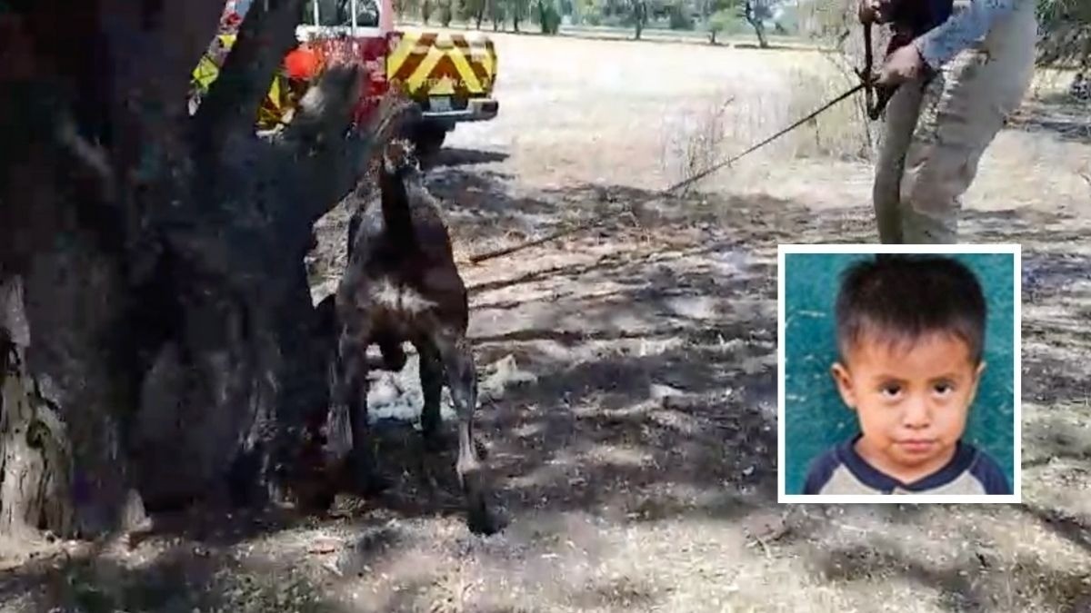 Niño jornalero perdido en León todavía se alimenta de leche materna