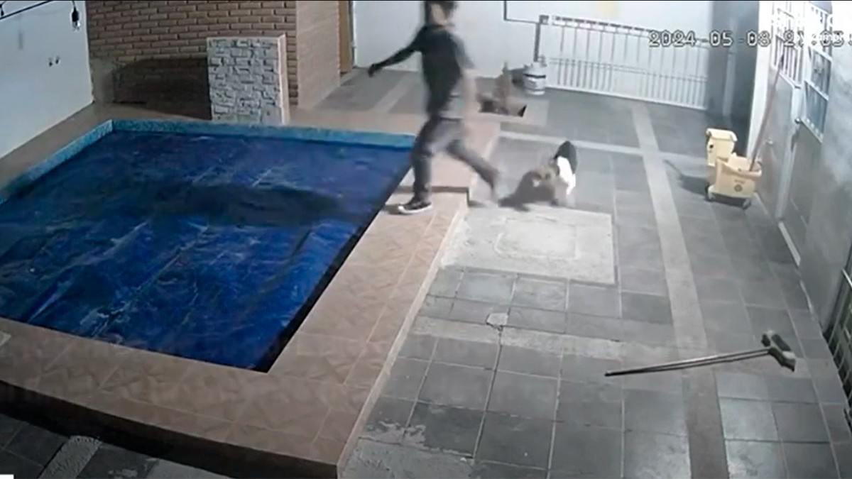 VIDEO ¡Mi primera chamba! Ladrón quería huir de casa, pero le pasó esto