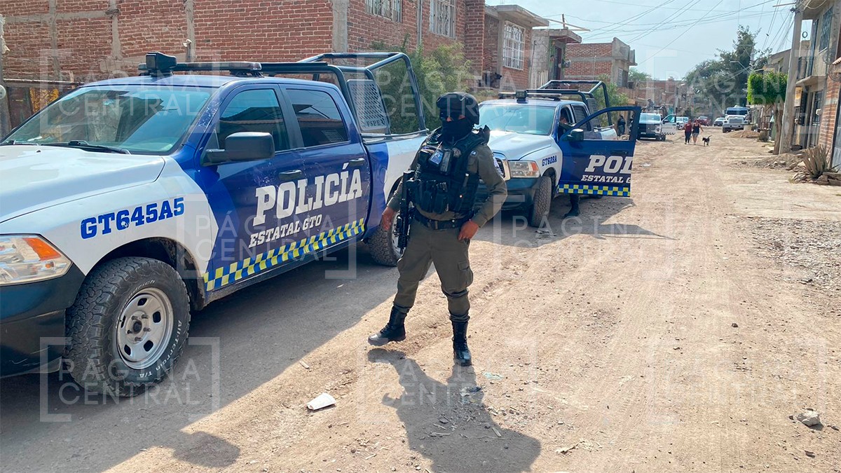 Ministerial balea a mujer embarazada al repeler ataque de perro en Lomas de Medina