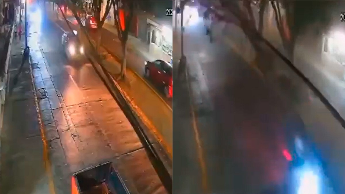 VIDEO Graban la impactante caída de dos árboles en Hilario Medina