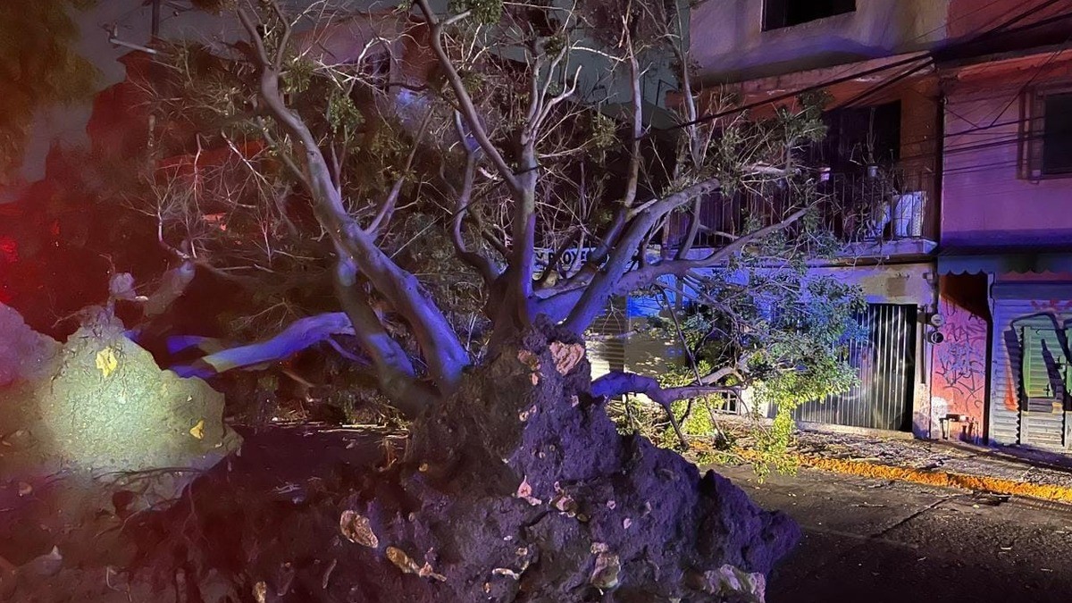 ¡Qué clima tan extremo! Estos son los estragos que dejaron los vientos atípicos en León