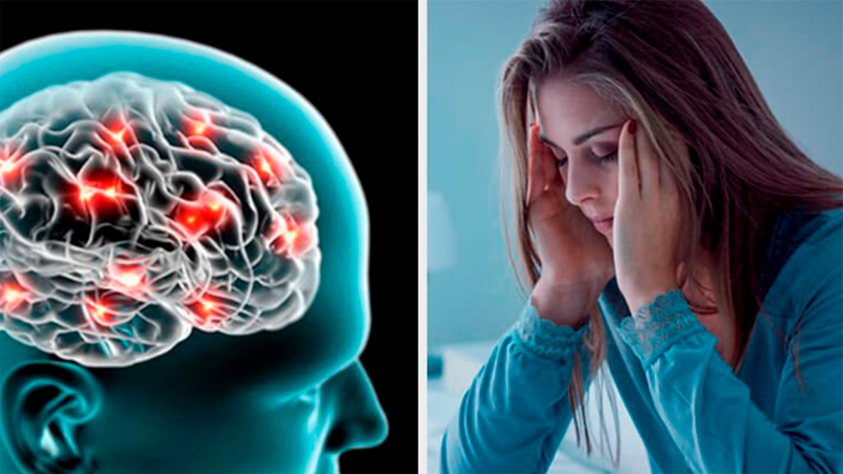 ¿El cerebro se ‘devora’ a sí mismo si no duermes lo suficiente?, esto dice un estudio