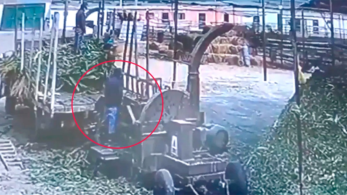 VIDEO Hombre cae en trituradora de alimentos, compañero intenta salvarlo, pero no lo logra