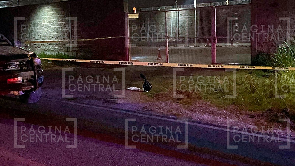 Restos encontrados en una bolsa cerca del Cereso de León son de un animal