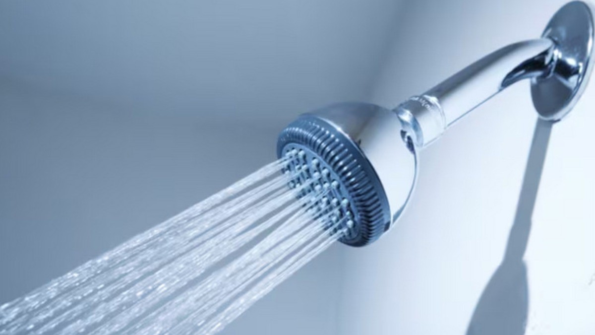 ¿Quieres una regadera para ahorrar agua en casa? ¡Te decimos cómo obtener una en SAPAL!