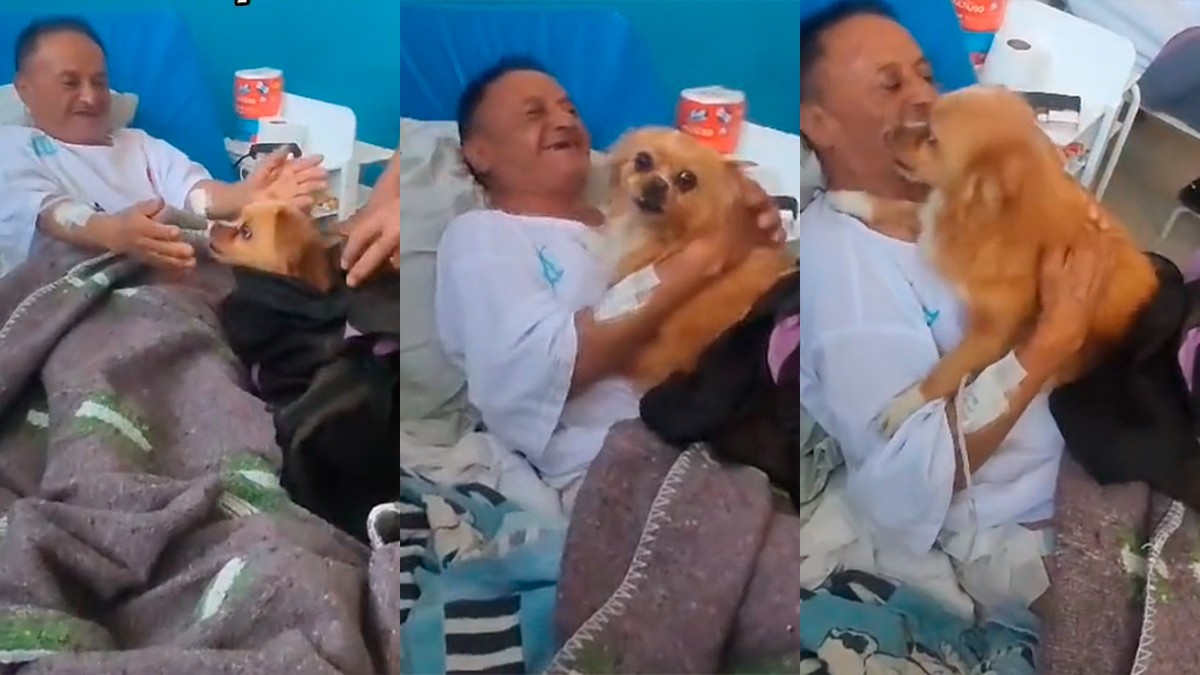 VIDEO Meten a escondidas al hospital a perrita para que visite a su dueño internado