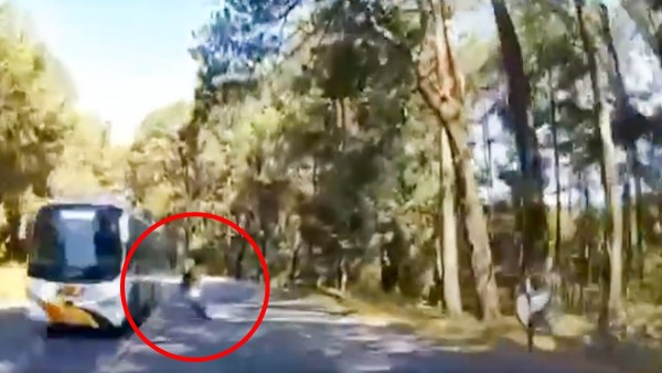 VIDEO Motociclista intenta rebasar en una curva, pero choca y pierde la vida