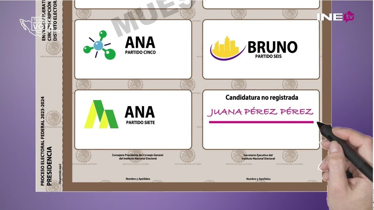 ¿Sabes cómo votar correctamente?