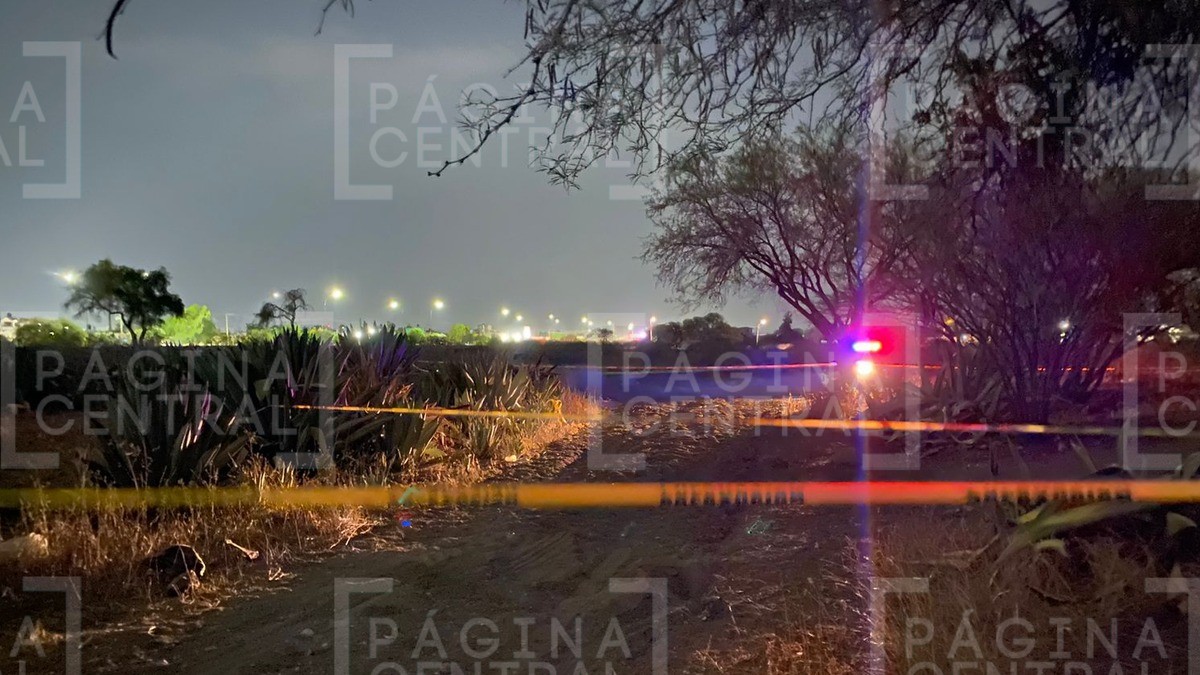 Hallan a una persona sin vida en baldío de Noria de Septién