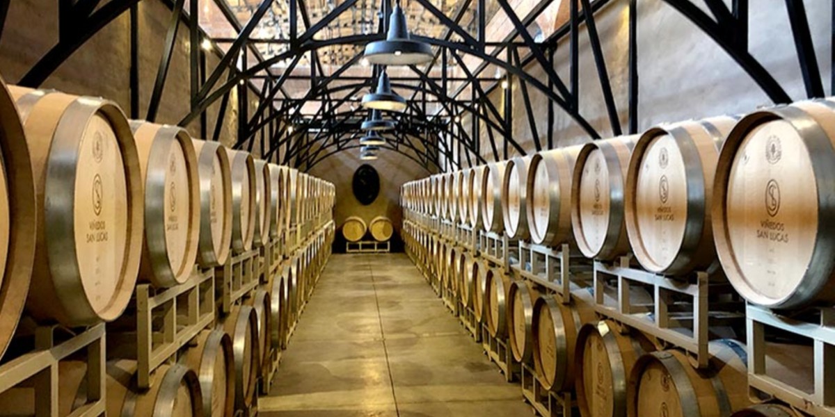 ¡Salud! México brinda con el 34 % del vino producido en el país