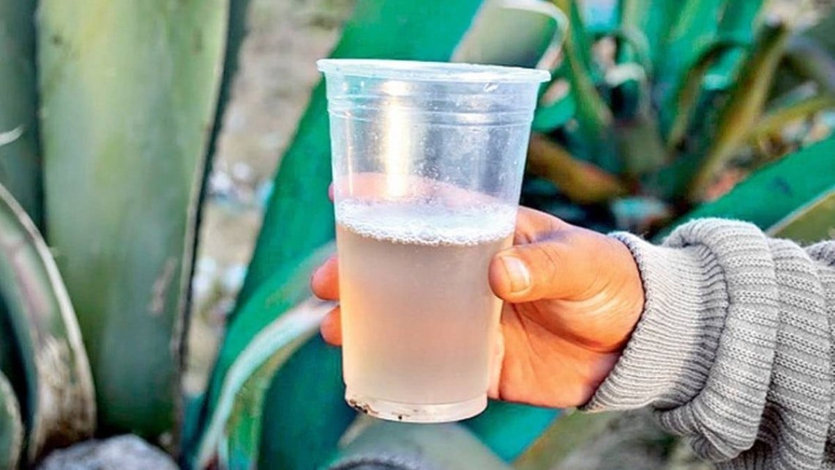 ¿Cuál es la bebida mexicana que te ayuda con enfermedades estomacales?