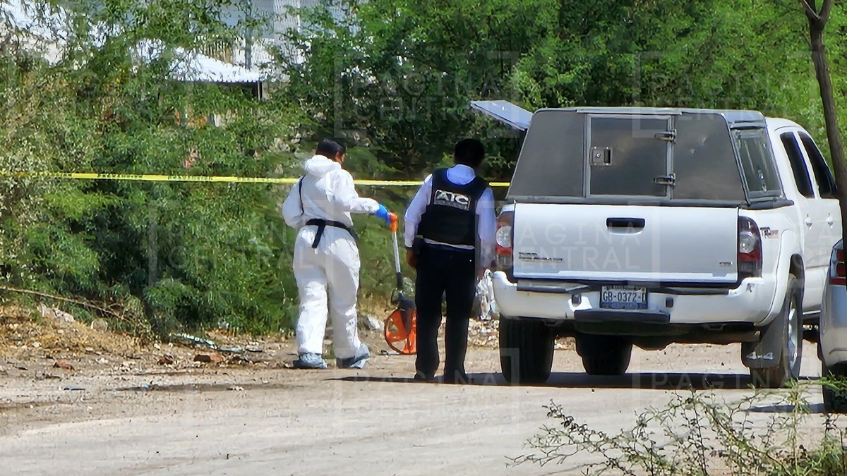 Hallan cuerpo desmembrado en bolsas que ya devoraban los perros en Rancho Los Naranjos