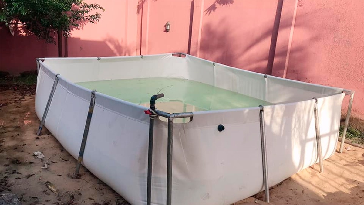 Bebé de un año fallece ahogado dentro de una alberca portátil en el patio de su casa