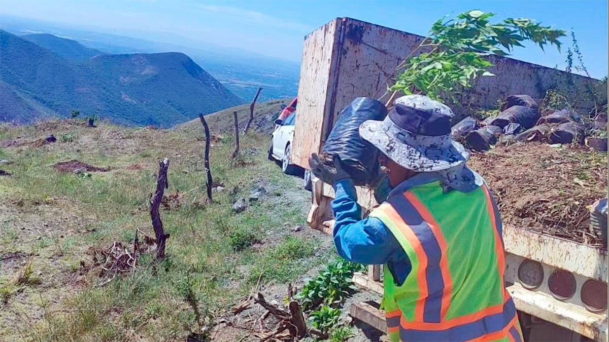 En León se plantarán 10 mil árboles en cuanto inicien las lluvias