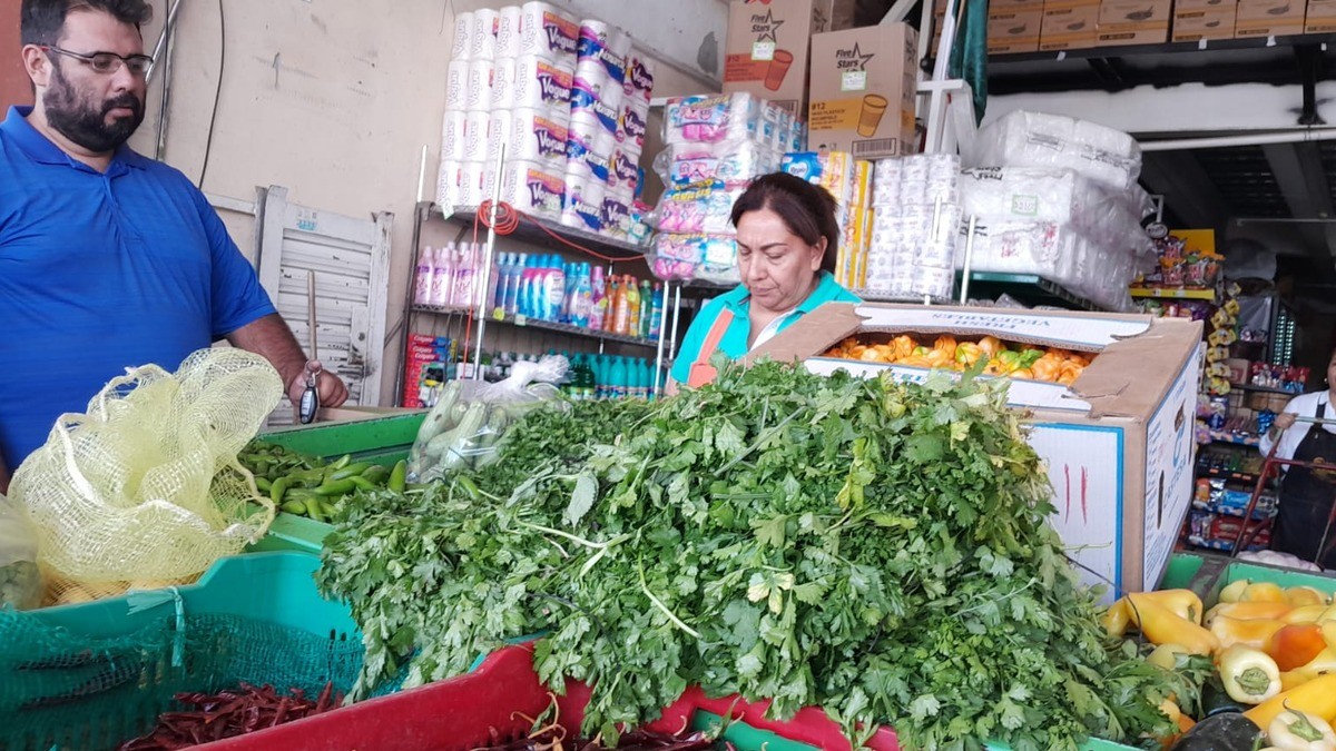 Sequía dispara el precio del cilantro en León, esto cuesta el manojo