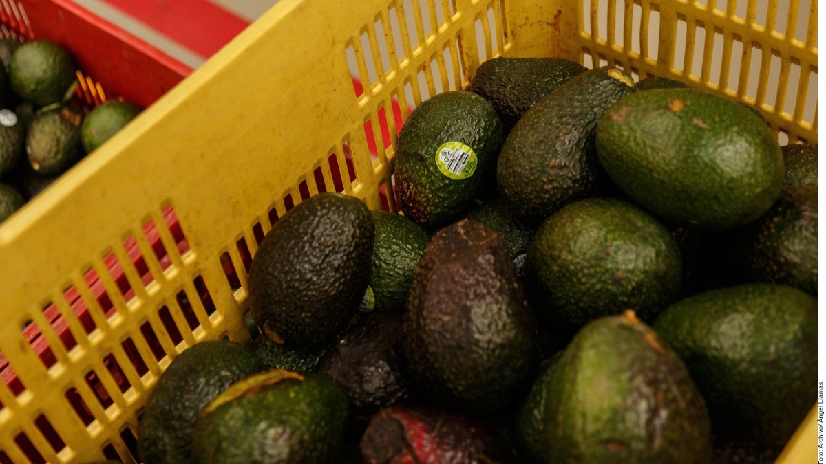 Detona crisis aguacatera… ¡un bloqueo de policías!