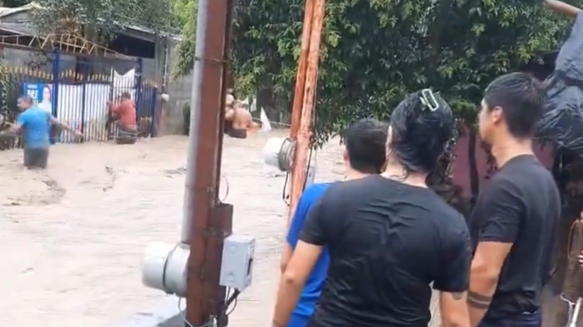 VIDEO Vecinos viven momentos de angustia al salvar a pareja de ser devorada por río